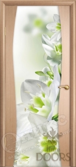 Дверь Грация со стеклом - 27 цветов